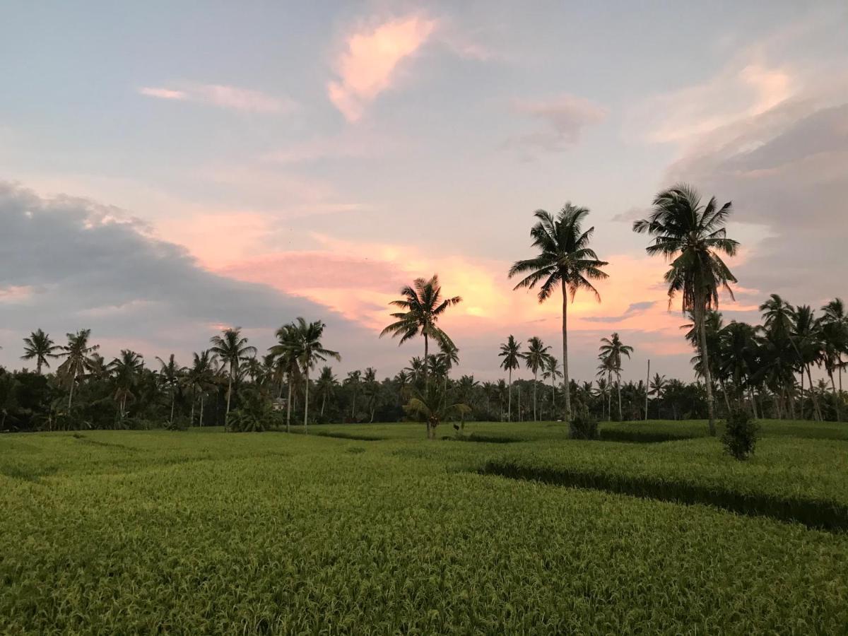 Sunset Pandawa Villa Ubud  Exterior photo