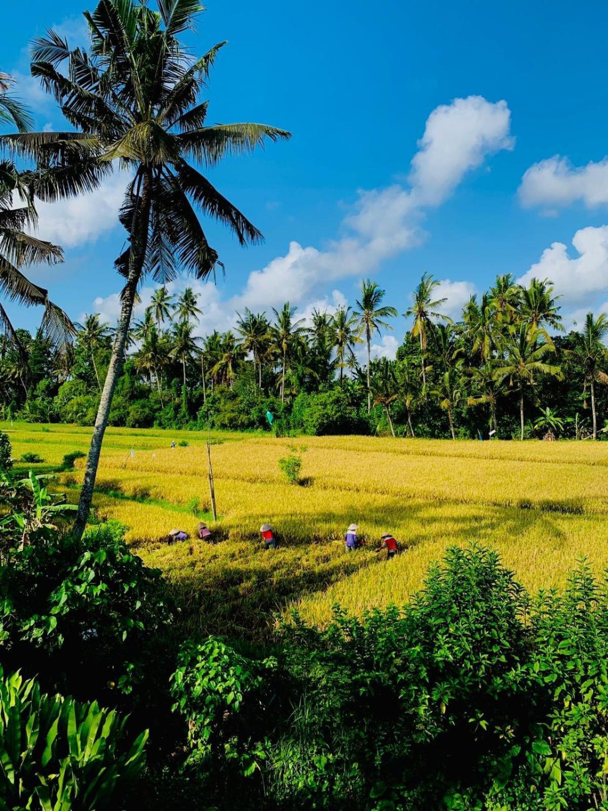 Sunset Pandawa Villa Ubud  Exterior photo