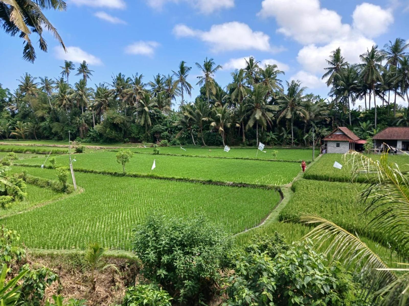 Sunset Pandawa Villa Ubud  Exterior photo