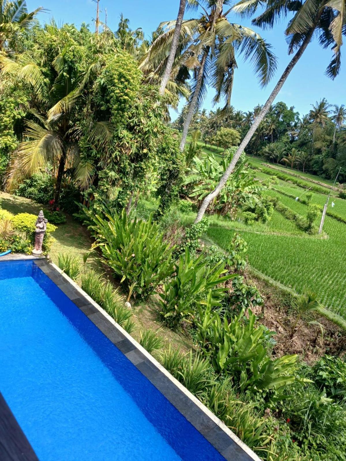 Sunset Pandawa Villa Ubud  Exterior photo