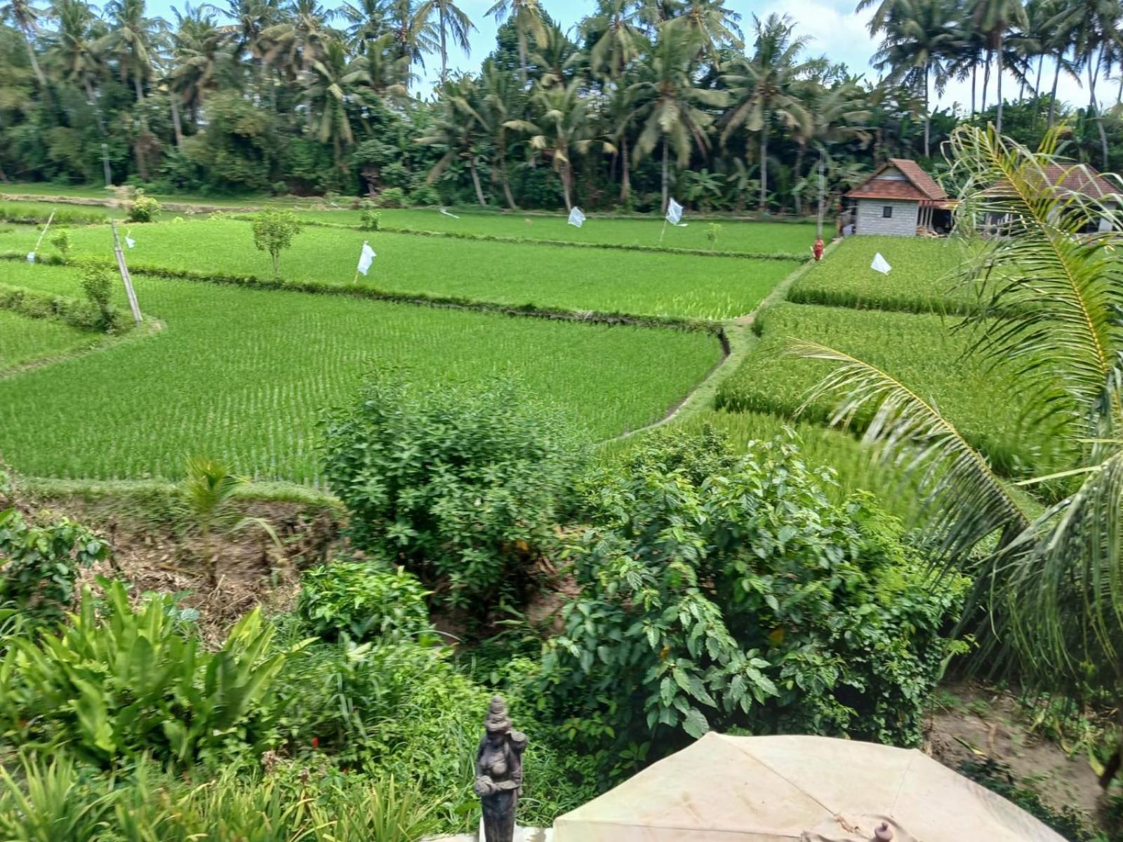 Sunset Pandawa Villa Ubud  Exterior photo