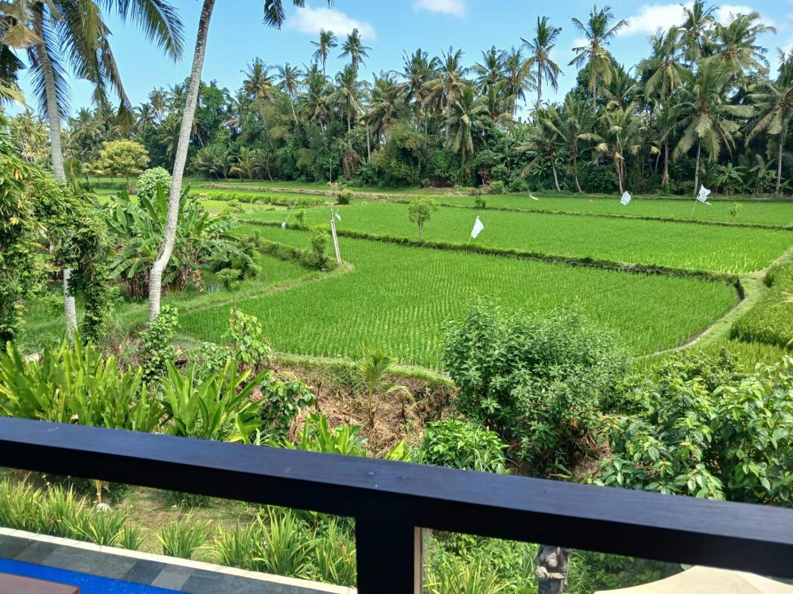 Sunset Pandawa Villa Ubud  Exterior photo